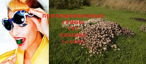 дурь Арсеньев