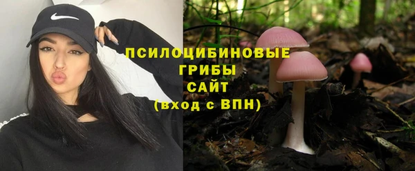 PSILOCYBIN Армянск