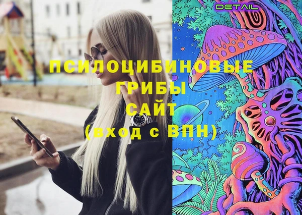 дурь Арсеньев