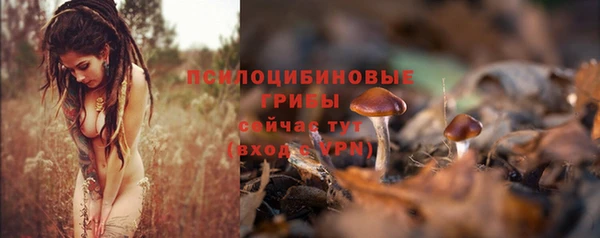 дурь Арсеньев