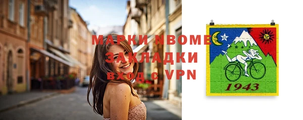 хмурый Аркадак