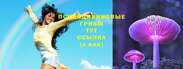 дурь Арсеньев