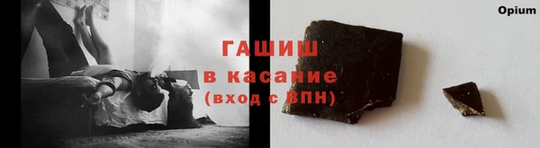 хмурый Аркадак