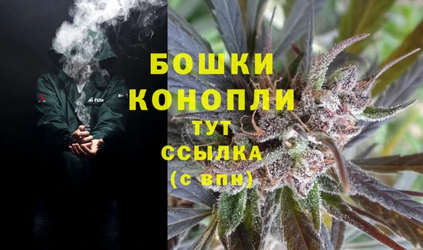 хмурый Аркадак