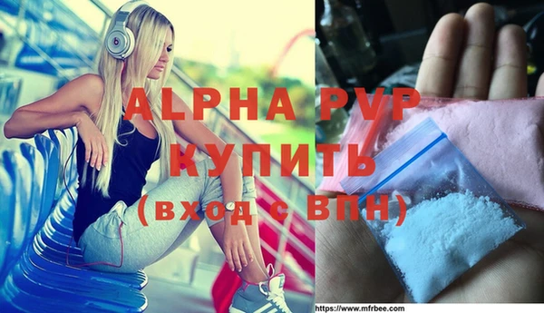 хмурый Аркадак