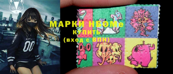 хмурый Аркадак