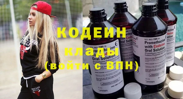 хмурый Аркадак