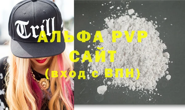 хмурый Аркадак