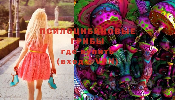 хмурый Аркадак