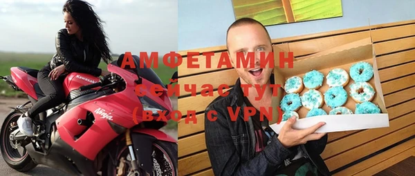 хмурый Аркадак