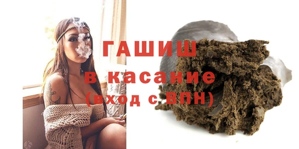 хмурый Аркадак